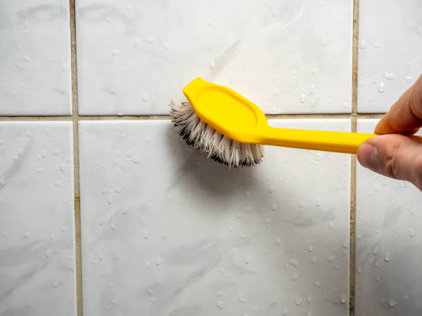Best Basement Mold Remediation in Daphne, AL