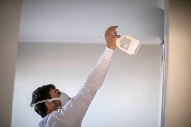 Best Commercial Mold Remediation in Daphne, AL